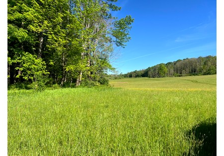 NY Southern Tier hunting land for sale