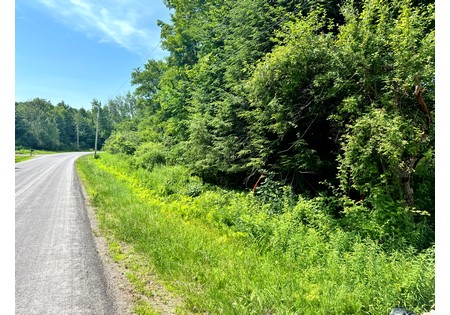 Salmon River NY land for sale