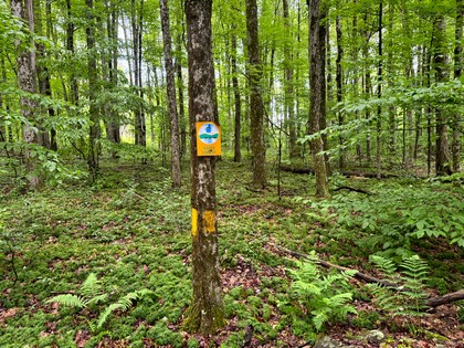 NY hunting land for sale