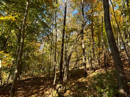 Southern Tier NY land for sale 