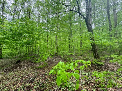 NY camps for sale