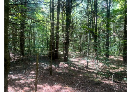 NY hunting land for sale