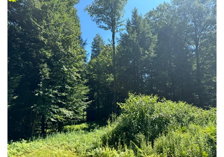 NY hunting land for sale