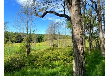 NY southern tier hunting land for sale