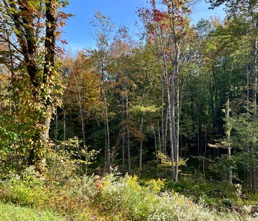 NY hunting land for sale