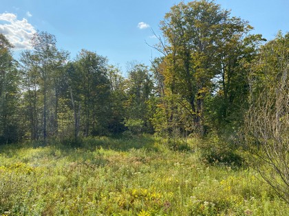 NY hunting land for sale McDonough NY