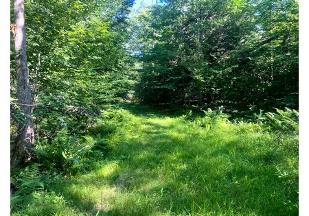 NY hunting land for sale