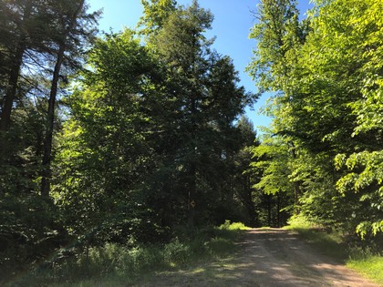 NY camp for sale in Camden NY