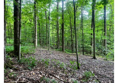 NY hunting land for sale