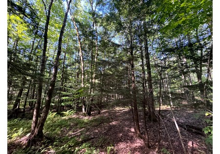 NY land for sale near Salmon River