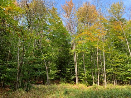 NY land for sale near Oneida Lake