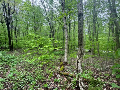 NY land for sale