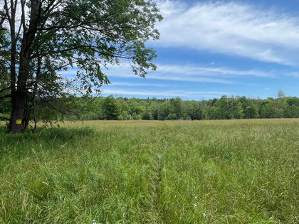 NY land for sale