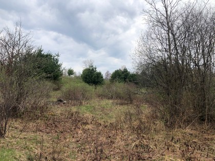 Land For Sale Camden Ny