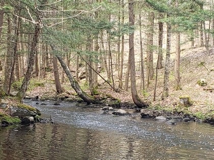 NY land for sale western Adirondacks