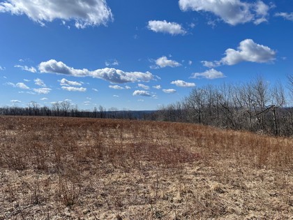 NY land for sale southern tier