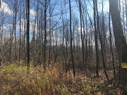 NY land for sale in Pharsalia NY