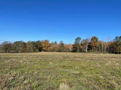 NY hunting land for sale - southern tier