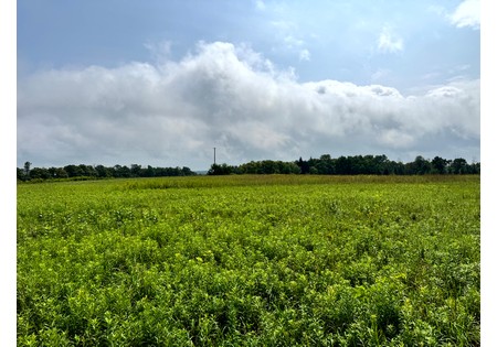 Land for sale Finger Lake area NY