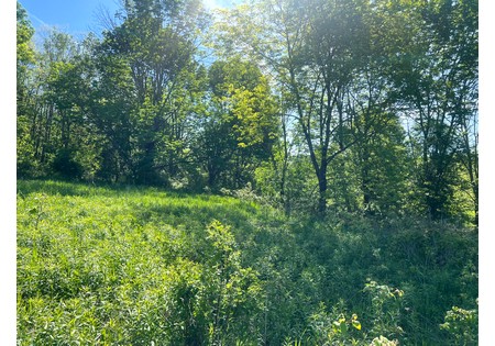 Southern Tier NY land for sale 
