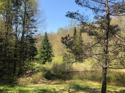 Western Adirondacks - NY camp for sale on 10 acres