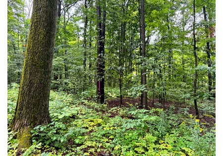 Finger Lakes NY land for sale