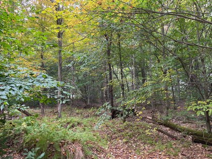 NY land for sale near Catskills