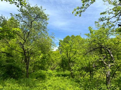 NY waterfront land for sale