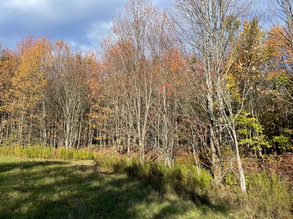NY land for sale