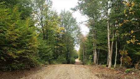NY hunting land for sale in Lewis NY