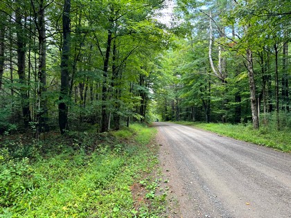 Adirondack land and waterfront for sale