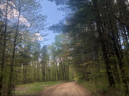 Adirondack area NY land for sale