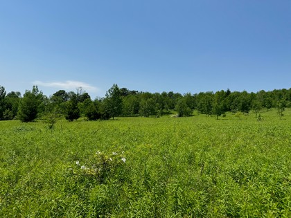 NY land for sale