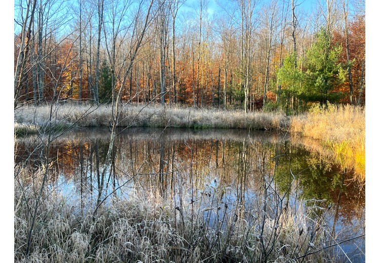 NY cabins for sale