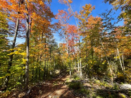 Adirondack land for sale