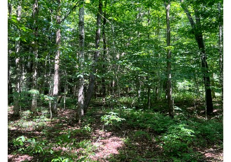 NY land for sale