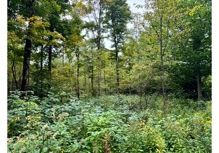 Tug Hill NY land for sale