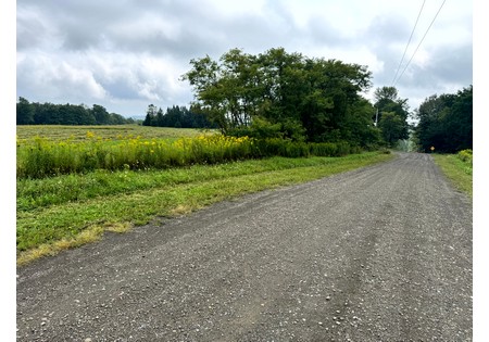 Finger Lakes NY area land for sale