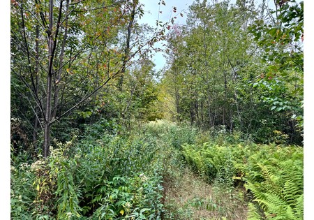 NY hunting land for sale