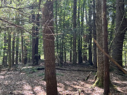Land for sale near Oneida Lake NY