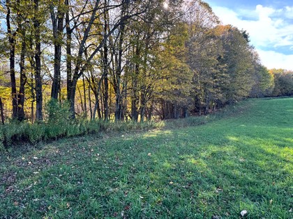 Chenango county NY land for sale