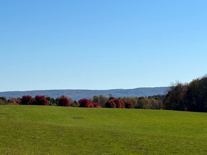 Chenango county NY land for sale