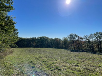 NY hunting land for sale in southern tier