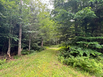 Tug Hill NY land for sale