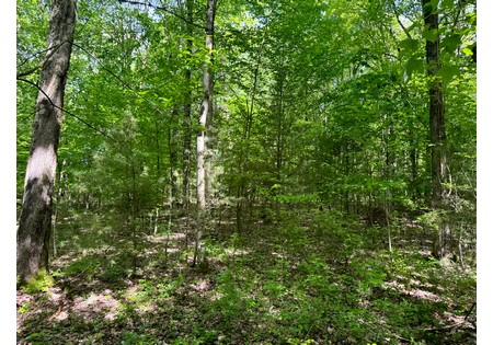 Northern NY land for sale