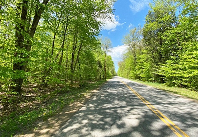 Limestone Ridge Camden NY Thumbnail from Land and Camps