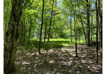 NY land for sale near Oneida Lake