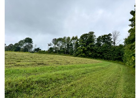 Land for sale Finger Lake area NY