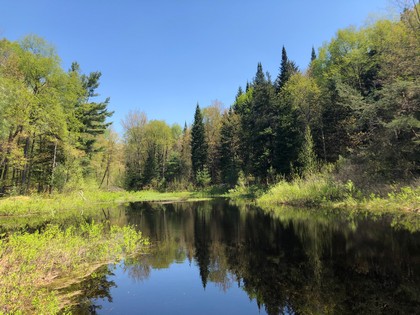 Adirondack NY land for sale