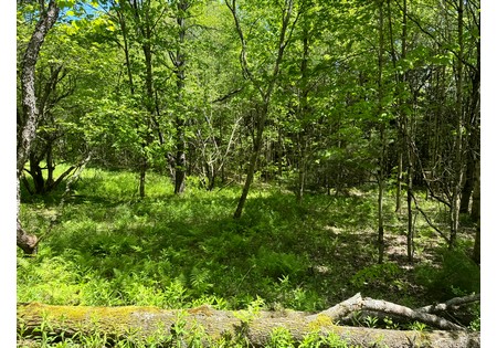 NY land for sale near Oneida Lake